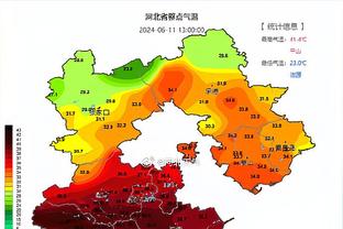 罗宾逊：纽卡可以签下洛里，他比卡里乌斯和杜布拉夫卡都更强